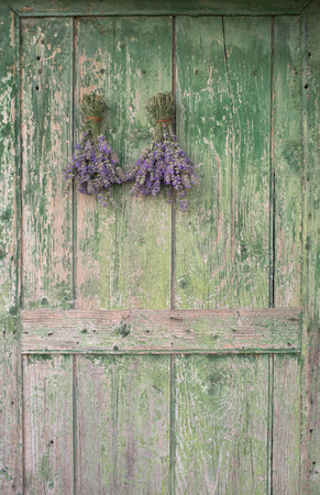 Lavender hanging on the green wooden doorの写真素材