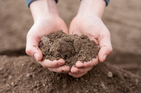 Soil in child's hands - dirty and dryの写真素材
