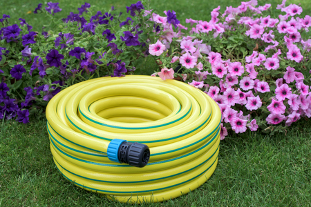 Yellow hose pipe in a garden with flowersの写真素材
