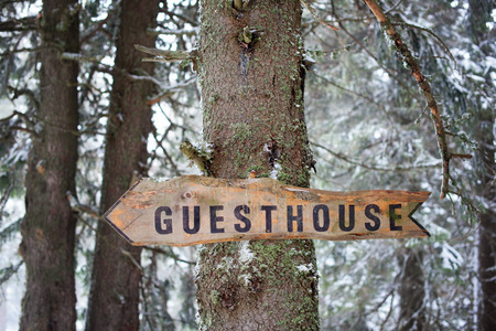 Wooden arrow sign on a tree in a forestの写真素材