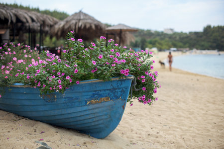Small Old blue boat full of flowers on the beachの写真素材