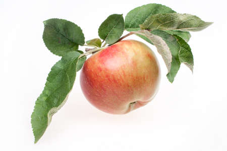 Ripe red and yellow apple with leaves on a white backgroundの写真素材