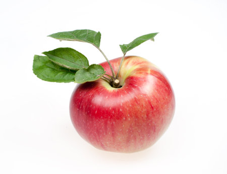 Ripe red and yellow apple with leaves on a white backgroundの写真素材