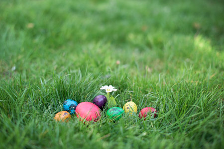 Hidden in the grass Easter eggs, which are painted in different colorsの写真素材