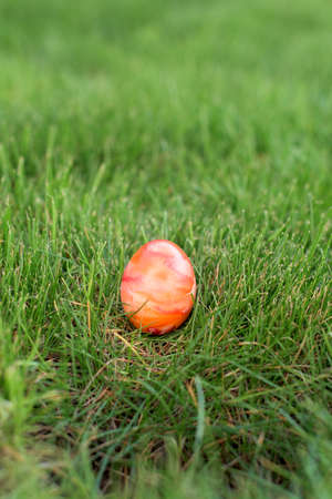 Hidden in the grass Easter egg, which is painted in different colorsの写真素材