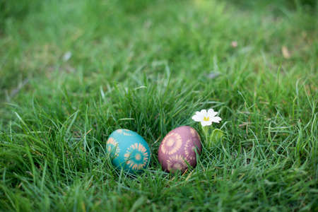 Hidden in the grass Easter eggs, which are painted in different colorsの写真素材