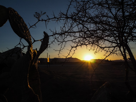 Sunrise in Solitaire with Cactus and Acasia foreground among desert landscape in the peaceful morning sceneの写真素材