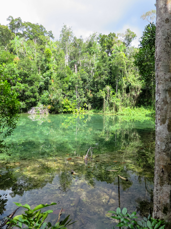 Shades of turquoise green colors scene of hot spring pond surrounded by trees with clear water reflection in Krabiの写真素材