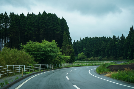 On curved road trip after raining through local green scenic route during springtime, Kumamoto, Japanの写真素材