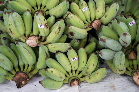 Bunches of raw green cultivated banana in local market with price tag, Thailandの写真素材