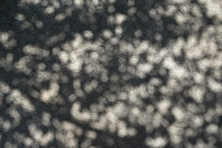 Abstract pattern of big tree natural shadow on light grey hard concrete surface floor of temple...