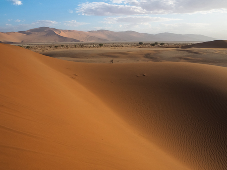 Beautiful natural rusty red sand dune and salt pan of vast desert landscape copyspace with hot sunlight, Sossus, Namib desert, Namibiaの写真素材