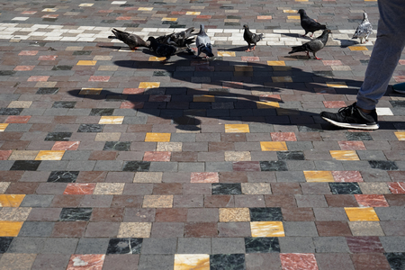 People and pigeons walking with cast shadow on colorful square shape marble texture floor in old town public open space on sunshine day, Monastiraki Square, Athens, Greeceの写真素材