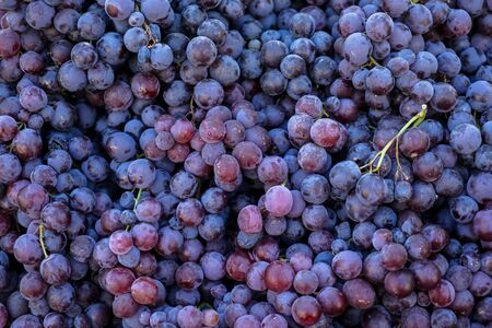 Piles of delicious fresh juicy seedless red grapes background in city fruit market, Athens, Greeceの写真素材