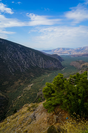 Beautiful view of Parnassus mountain slope tip valley, green olive groves through Ionian sea with bright blue sky and white cloud background, Delphi, Greeceの写真素材