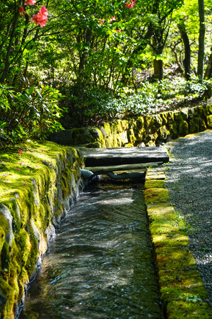 Beautiful fresh water canal ditch or natural gutter cover with green moss and lichen along pleasant road with sun shaded and shadow, Kurokawa onsen town, Japanの写真素材