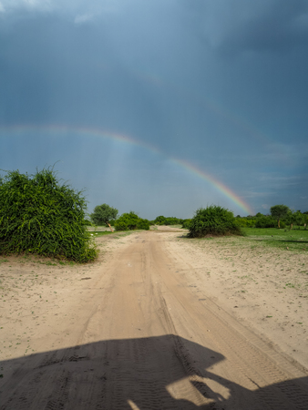 Amazing scene of double rainbow on blue sky copy space background above natural sand route through green savanna plain and car cast shadow, Chobe national park, Kasane, Botswanaの写真素材