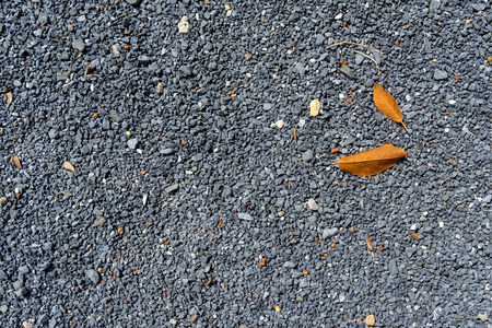 Abstract natural pattern of grey color hard gravel concrete surface background floor with yellow fallen dried tree leaves, Phuketの写真素材
