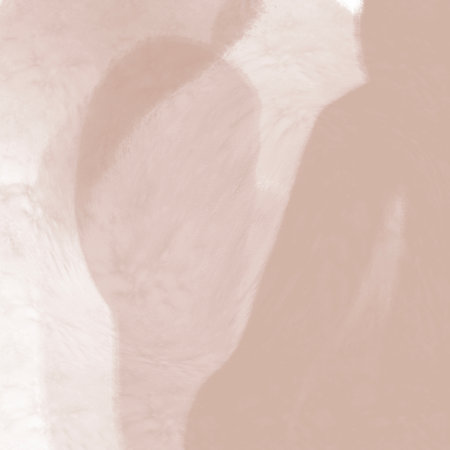 Abstract 1 Brown 9 Background Illustration Wallpaper Textureの写真素材