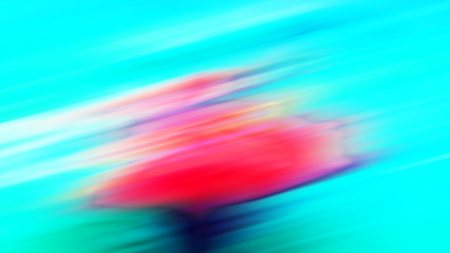 blur  in south africa close up of the abstract   background textureの写真素材
