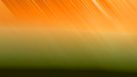 Abstract Light Background Wallpaper Colorful Gradient Blurry Soft Smooth Pastel colors Motion design graphic layout web and mobile bright shine glowingの写真素材