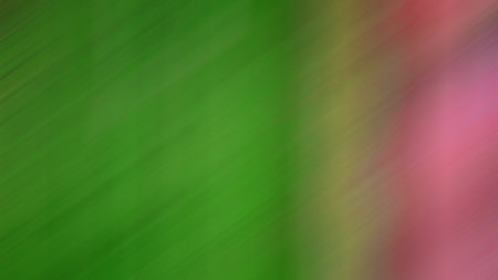 Abstract Light Background Wallpaper Colorful Gradient Blurry Soft Smooth Pastel colors Motion design graphic layout web and mobile bright shine glowingの写真素材