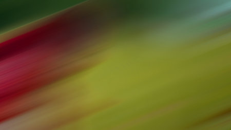 Abstract light background wallpaper colorful gradient blurry soft smooth motion bright shineの写真素材