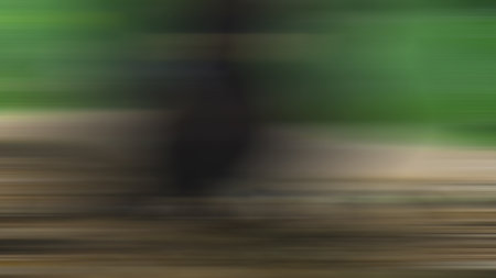 Abstract light background wallpaper colorful gradient blurry soft smooth motion bright shineの写真素材