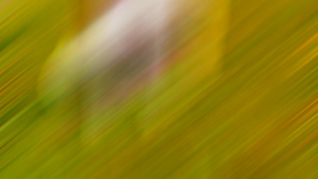 Abstract PUI17 Light Background Wallpaper Gradient Soft Smooth
