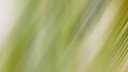 Abstract PUI18 Background Wallpaperの写真素材