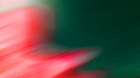 abstract background with bokeh defocused lights and shadow.の写真素材