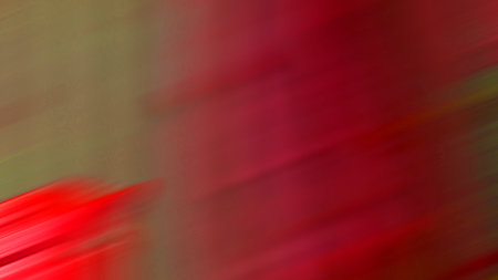 the abstract colors and blur   background texture of Christmas card conceptの写真素材
