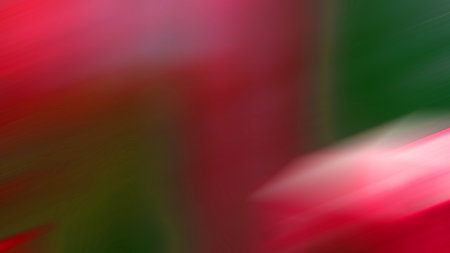 closeup of photo, beautiful color patterns, computer-generated imagesの写真素材