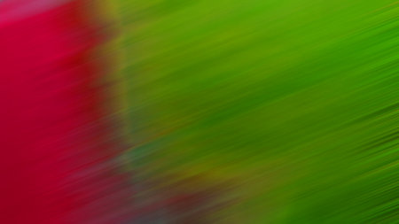 Bright colored blurred brushstrokes as multicolored flashes for an abstract background. Toned.の写真素材