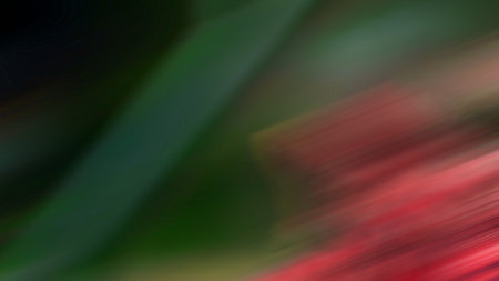 Abstract Pond7 light background wallpaper gradient soft smooth motionの写真素材