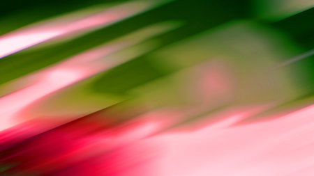 abstract background with bokeh defocused lights and shadow.の写真素材