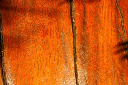 Smooth wood texture with cracksの写真素材
