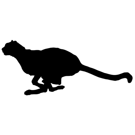 Silhouette of a cheetah on white background, vector illustration.のイラスト素材