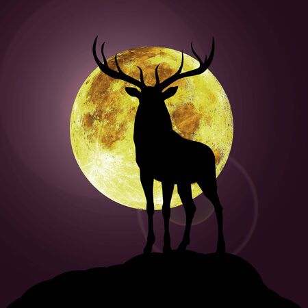 dier black silhouette illustrastion of animal with moonの写真素材
