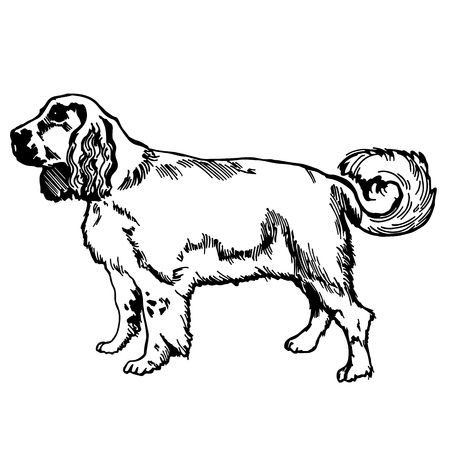 labrador retriver silhouette vectorのイラスト素材