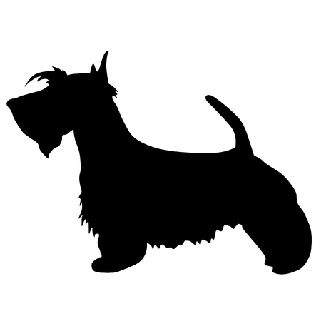 Silhouette of a dog. terrier black illustrationのイラスト素材