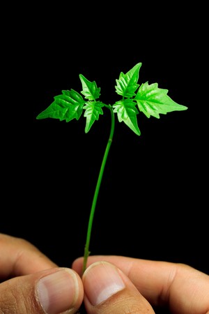 save the earth by planting small green with our big hands.の写真素材