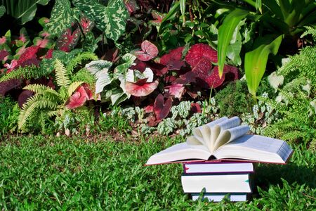 An opened as a flower book on top of other closed books in the gardenの写真素材