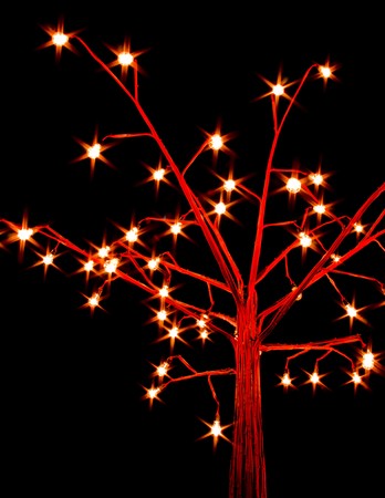 Celebrating lighting tree in the night