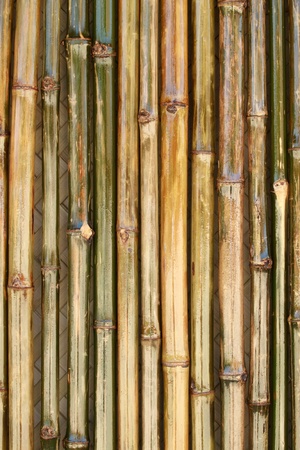 Shiny bamboo wall with the texture of bamboo hut in the backgroundの写真素材