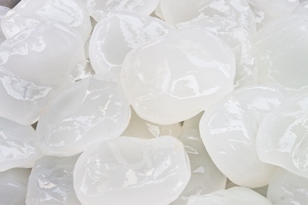 Whole fresh toddy palm seeds after peelingの写真素材