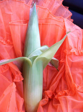 Corn on woman's skirt