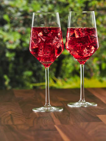 Apple cider with red berry flavor in a garden setting, bottom copy spaceの写真素材