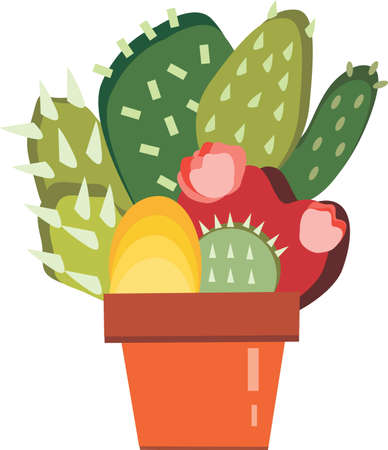 A plant has sharp and pointed needles and likes to stay at hot and dry place.のイラスト素材