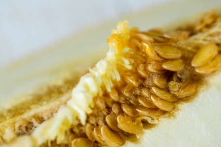 Top view of a melon close-up. Ripe melon with seeds in the cut.の写真素材